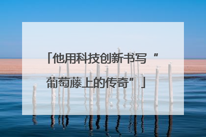 他用科技创新书写“葡萄藤上的传奇”