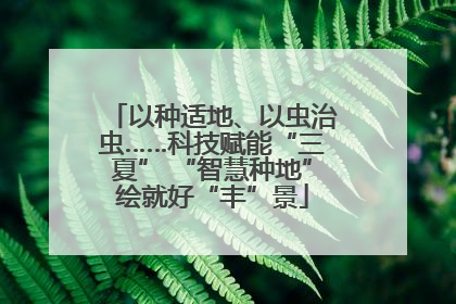 以种适地、以虫治虫……科技赋能“三夏” “智慧种地”绘就好“丰”景