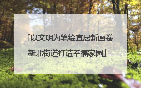 以文明为笔绘宜居新画卷 新北街道打造幸福家园