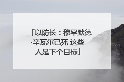 以防长：穆罕默德·辛瓦尔已死 这些人是下个目标