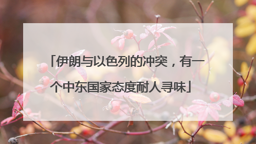 伊朗与以色列的冲突，有一个中东国家态度耐人寻味