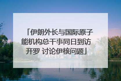 伊朗外长与国际原子能机构总干事同日到访开罗 讨论伊核问题