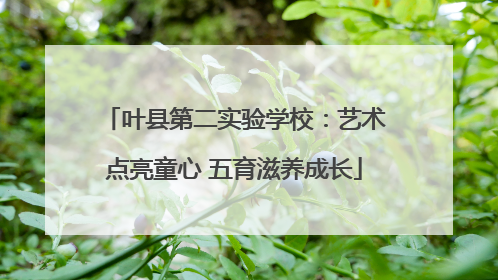 叶县第二实验学校：艺术点亮童心 五育滋养成长
