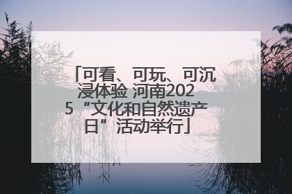 可看、可玩、可沉浸体验 河南2025“文化和自然遗产日”活动举行