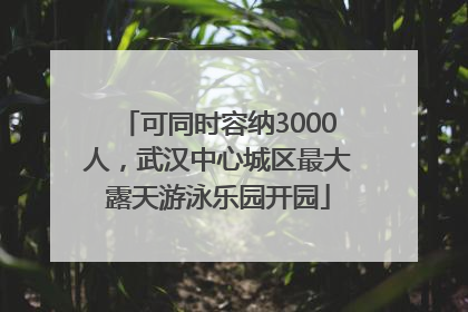 可同时容纳3000人，武汉中心城区最大露天游泳乐园开园