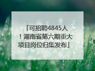 可招聘4845人！湖南省第六期重大项目岗位归集发布