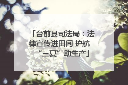 台前县司法局：法律宣传进田间 护航“三夏”助生产
