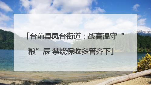 台前县凤台街道：战高温守“粮”辰 禁烧保收多管齐下