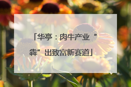 华亭：肉牛产业“犇”出致富新赛道