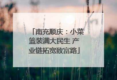 南充顺庆：小菜篮装满大民生 产业链拓宽致富路