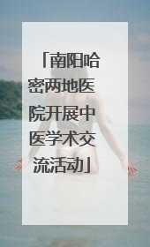 南阳哈密两地医院开展中医学术交流活动