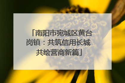 南阳市宛城区黄台岗镇：共筑信用长城 共绘营商新篇