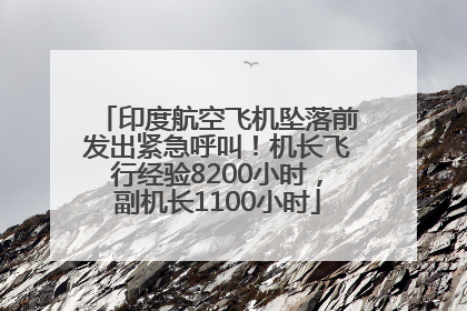 印度航空飞机坠落前发出紧急呼叫！机长飞行经验8200小时，副机长1100小时