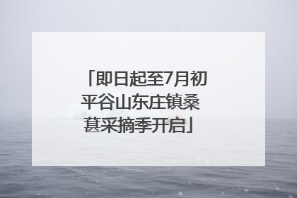 即日起至7月初 平谷山东庄镇桑葚采摘季开启