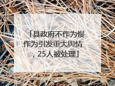 县政府不作为慢作为引发重大舆情，25人被处理