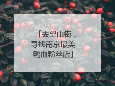 去望山街，寻找南京最美鸭血粉丝店