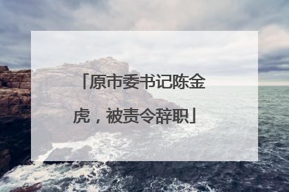 原市委书记陈金虎，被责令辞职