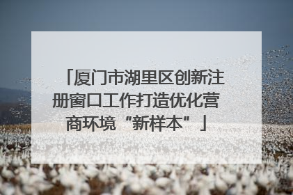厦门市湖里区创新注册窗口工作打造优化营商环境“新样本”