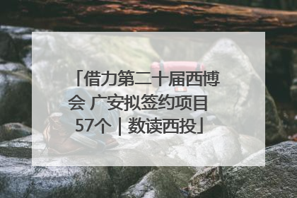 借力第二十届西博会 广安拟签约项目57个｜数读西投