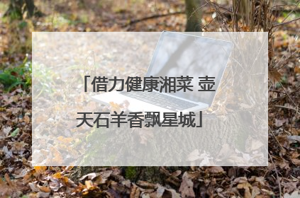 借力健康湘菜 壶天石羊香飘星城