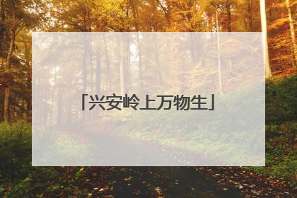 兴安岭上万物生