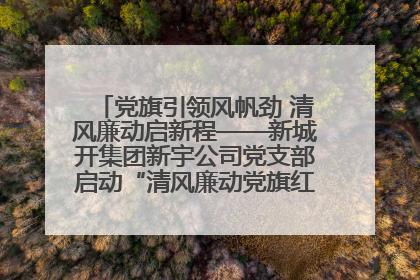 党旗引领风帆劲 清风廉动启新程——新城开集团新宇公司党支部启动“清风廉动党旗红”系列活动