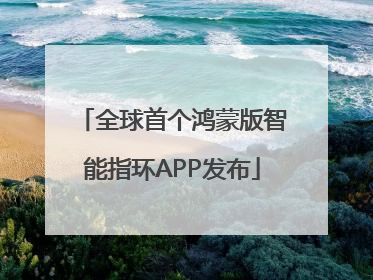 全球首个鸿蒙版智能指环APP发布