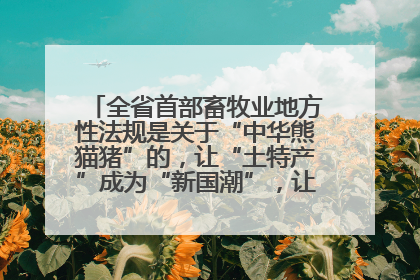 全省首部畜牧业地方性法规是关于“中华熊猫猪”的，让“土特产”成为“新国潮”，让“农产品”升格为“城市IP”