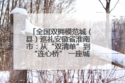 全国双拥模范城（县）巡礼安徽省淮南市：从“双清单”到“连心桥” 一座城的双拥密码