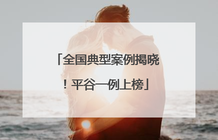 全国典型案例揭晓！平谷一例上榜