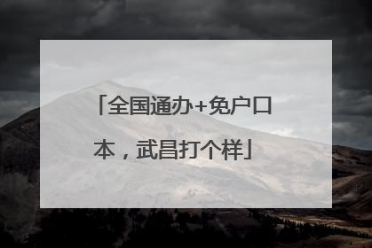 全国通办+免户口本，武昌打个样
