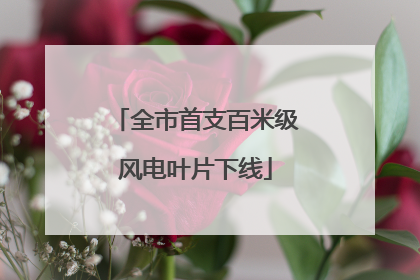 全市首支百米级风电叶片下线