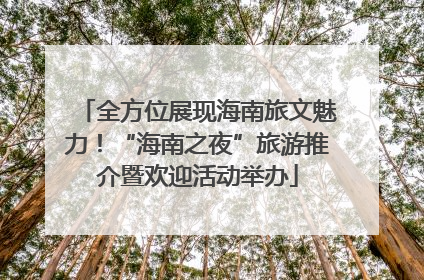 全方位展现海南旅文魅力！“海南之夜”旅游推介暨欢迎活动举办