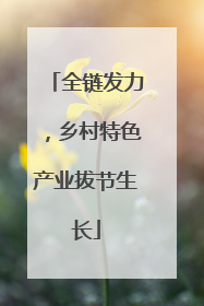 全链发力，乡村特色产业拔节生长