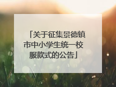 关于征集景德镇市中小学生统一校服款式的公告
