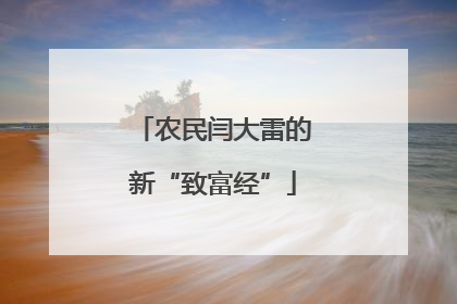 农民闫大雷的新“致富经”