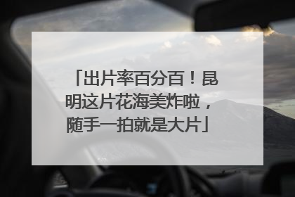 出片率百分百！昆明这片花海美炸啦，随手一拍就是大片