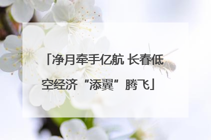 净月牵手亿航 长春低空经济“添翼”腾飞
