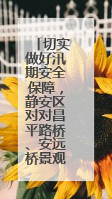 切实做好汛期安全保障，静安区对对昌平路桥、安远桥景观照明设施进行全面检查与维护
