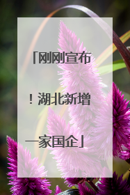 刚刚宣布！湖北新增一家国企