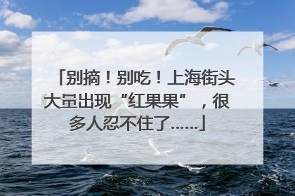 别摘！别吃！上海街头大量出现“红果果”，很多人忍不住了……