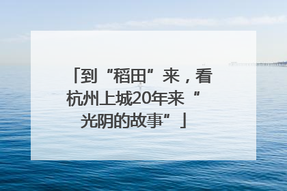 到“稻田”来，看杭州上城20年来“光阴的故事”