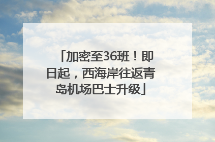 加密至36班！即日起，西海岸往返青岛机场巴士升级