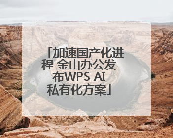 加速国产化进程 金山办公发布WPS AI私有化方案