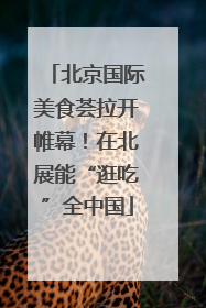 北京国际美食荟拉开帷幕！在北展能“逛吃”全中国