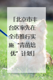 北京市丰台区率先在全市推行实施“青苗培优”计划