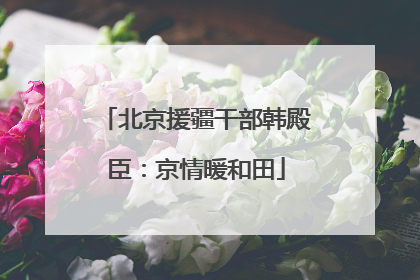 北京援疆干部韩殿臣：京情暖和田