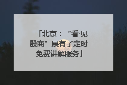 北京：“看·见殷商”展有了定时免费讲解服务