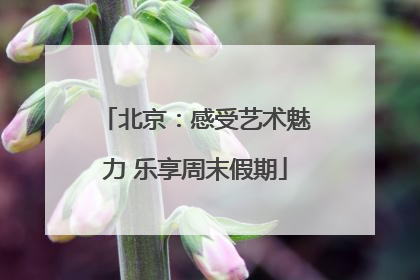 北京：感受艺术魅力 乐享周末假期