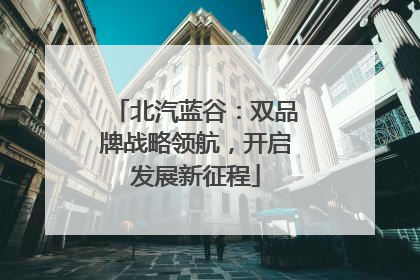 北汽蓝谷：双品牌战略领航，开启发展新征程